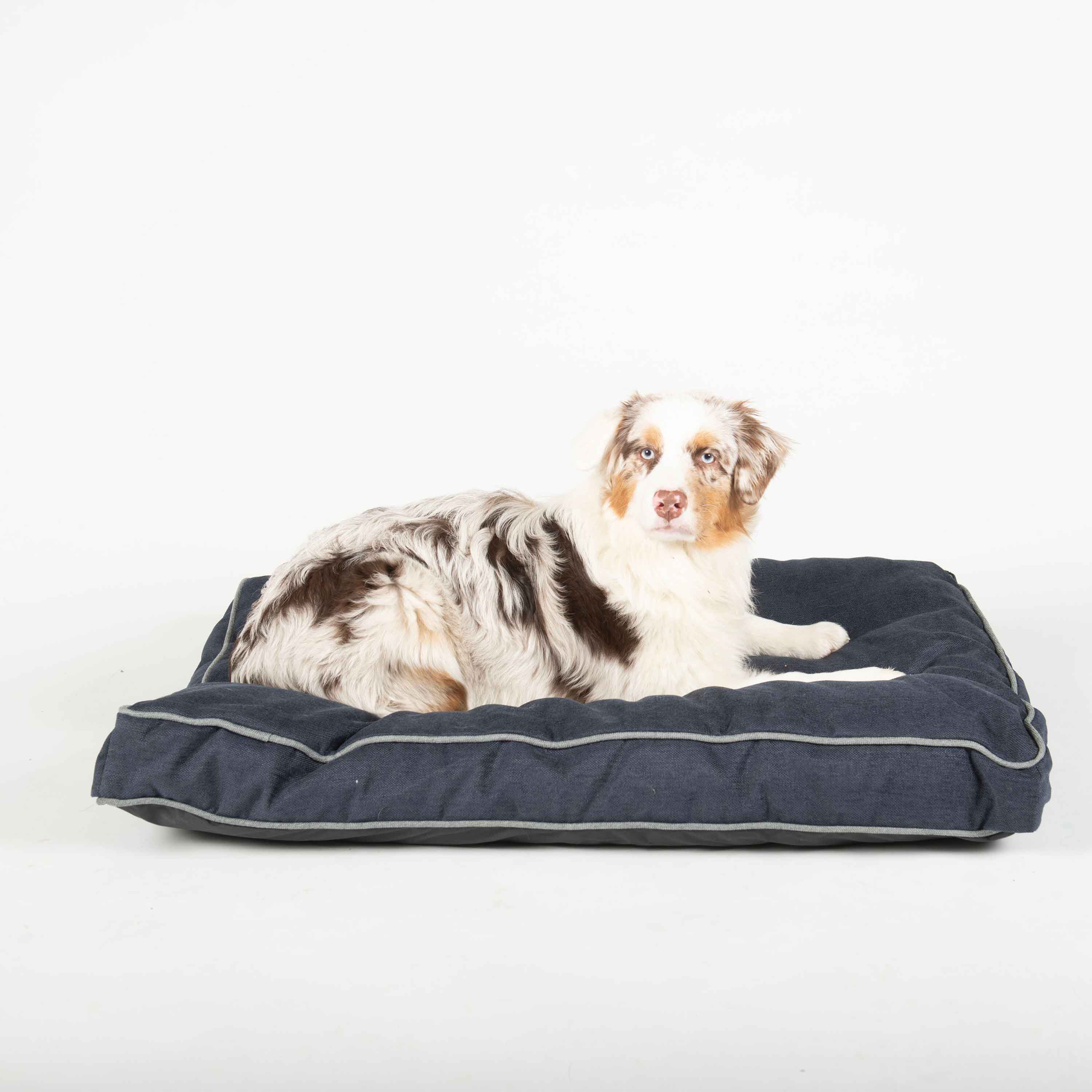 DGS Pet Products RepelzIt Upholstery Chenille Rectangle Pet Bed Large